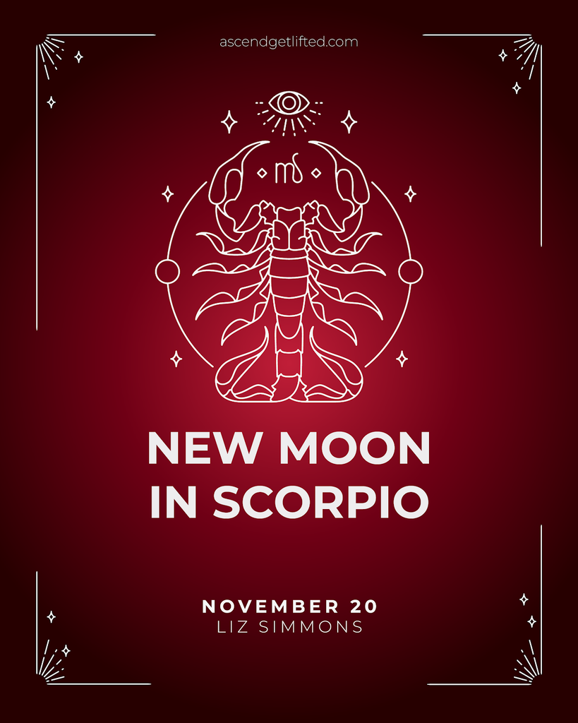 New Moon in Scorpio: Horoscopes, Cosmic Forecast, & More