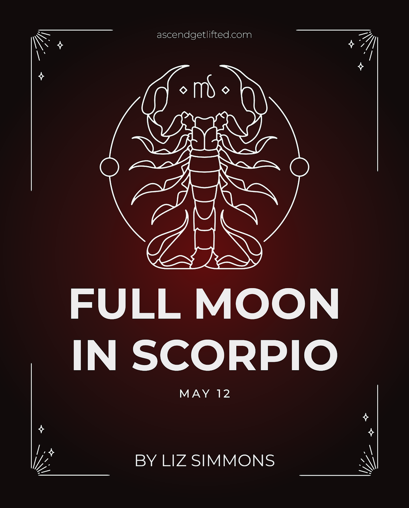 Full Moon in Scorpio 2025 - What to Expect & How Will It Impact the Zodiac Signs