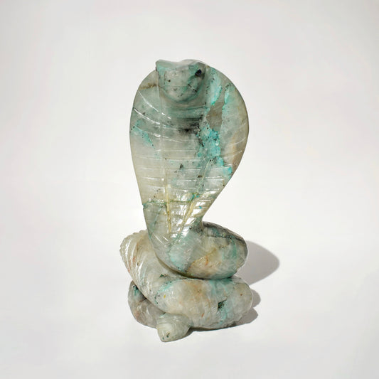 Amazonite Cobra