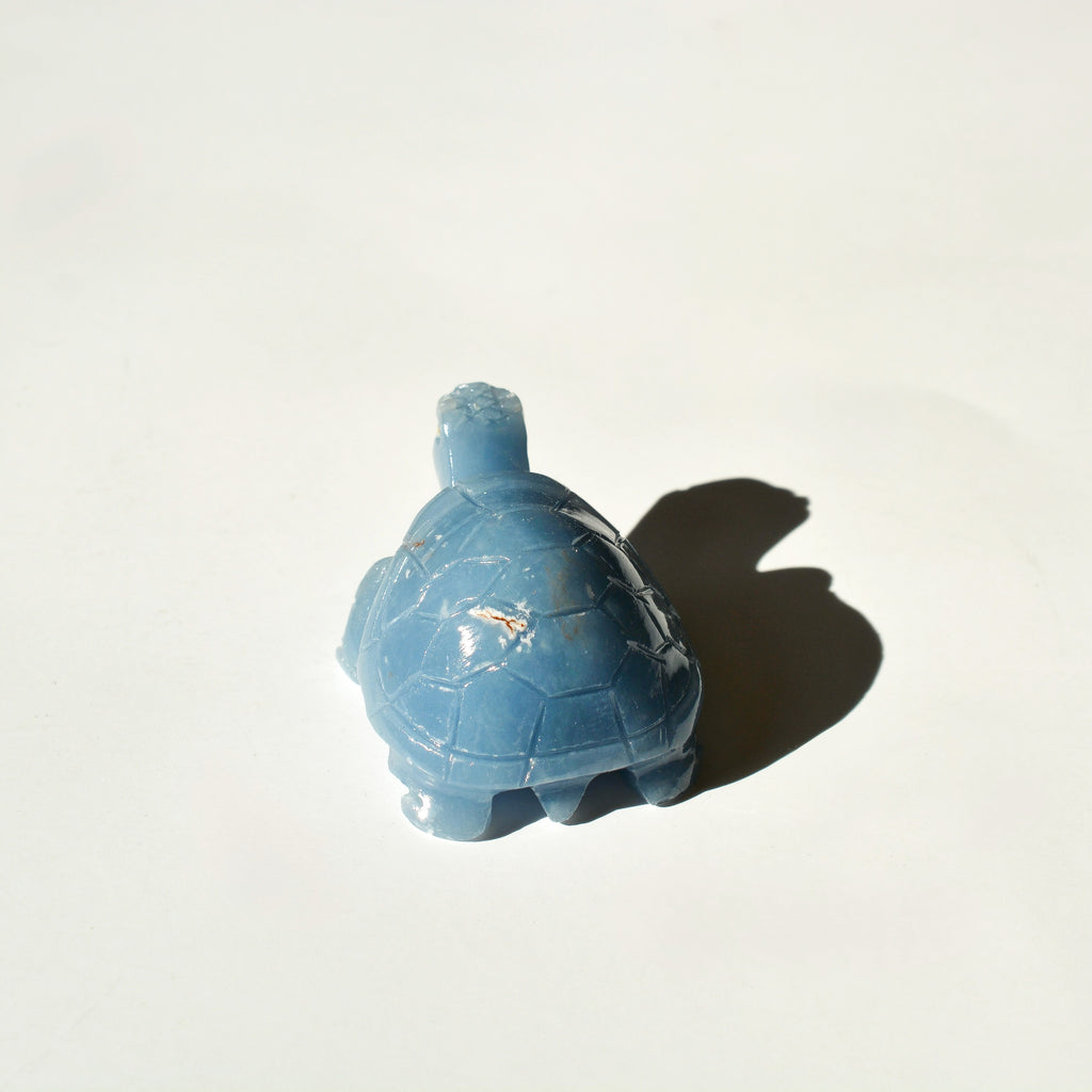 Angelite Turtle