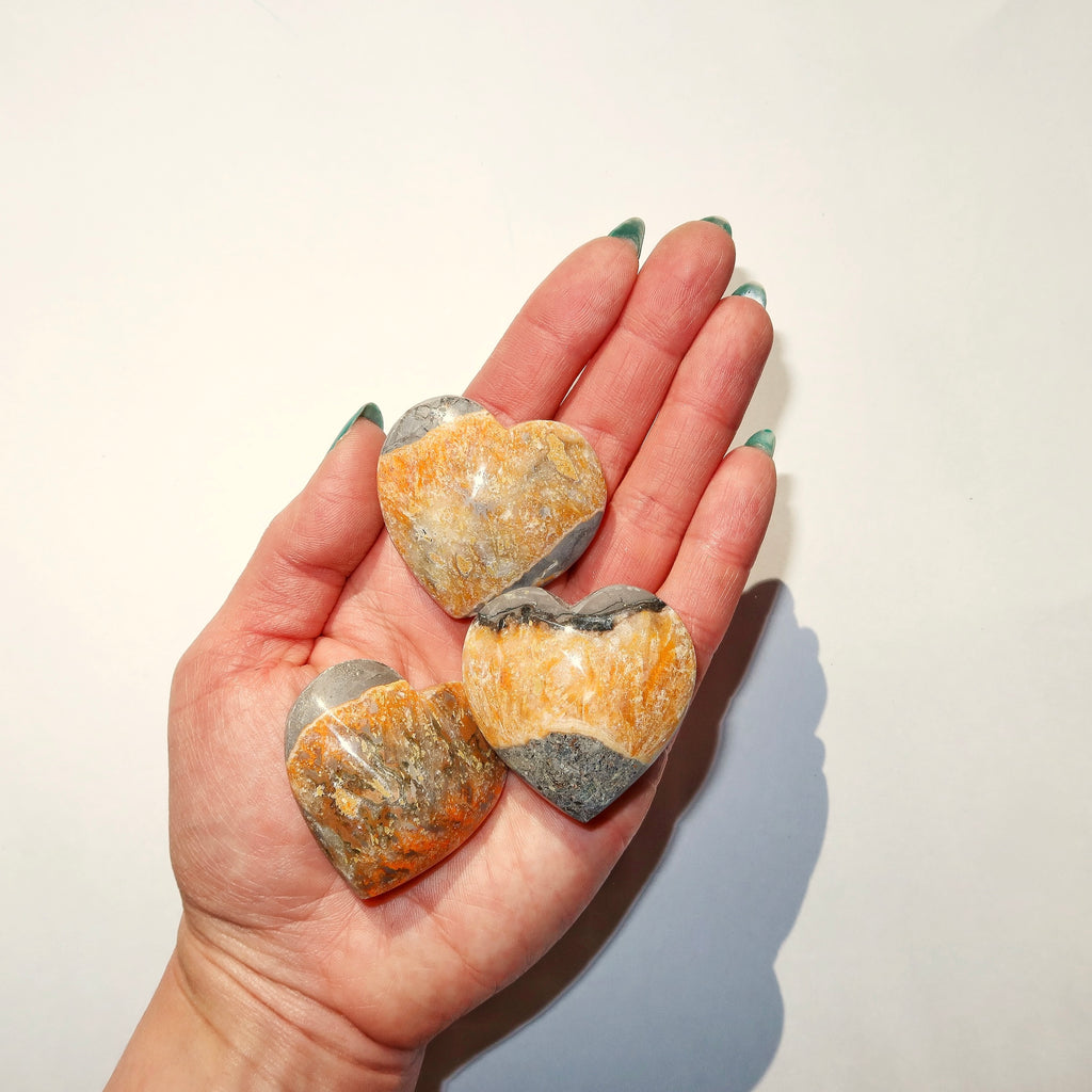 Bumble Bee Jasper Heart