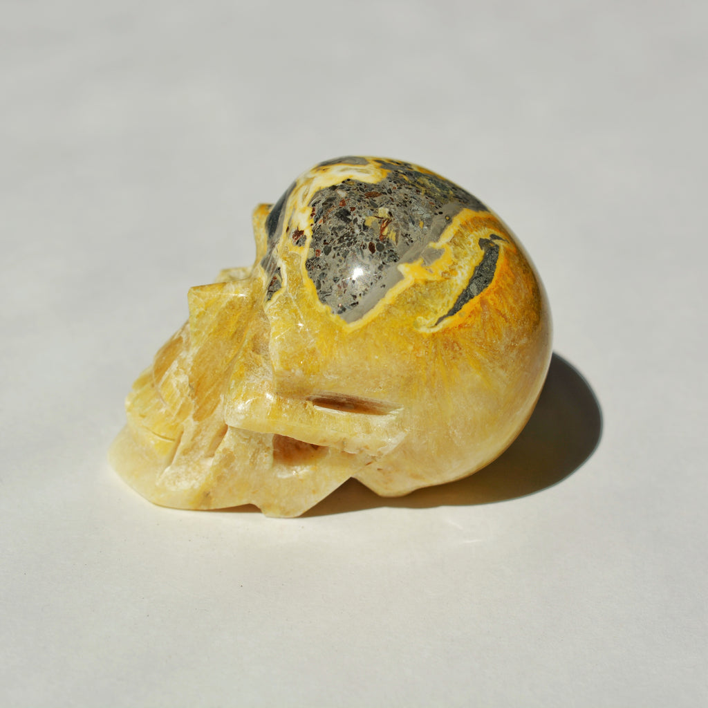 Bumble Bee Jasper Skull