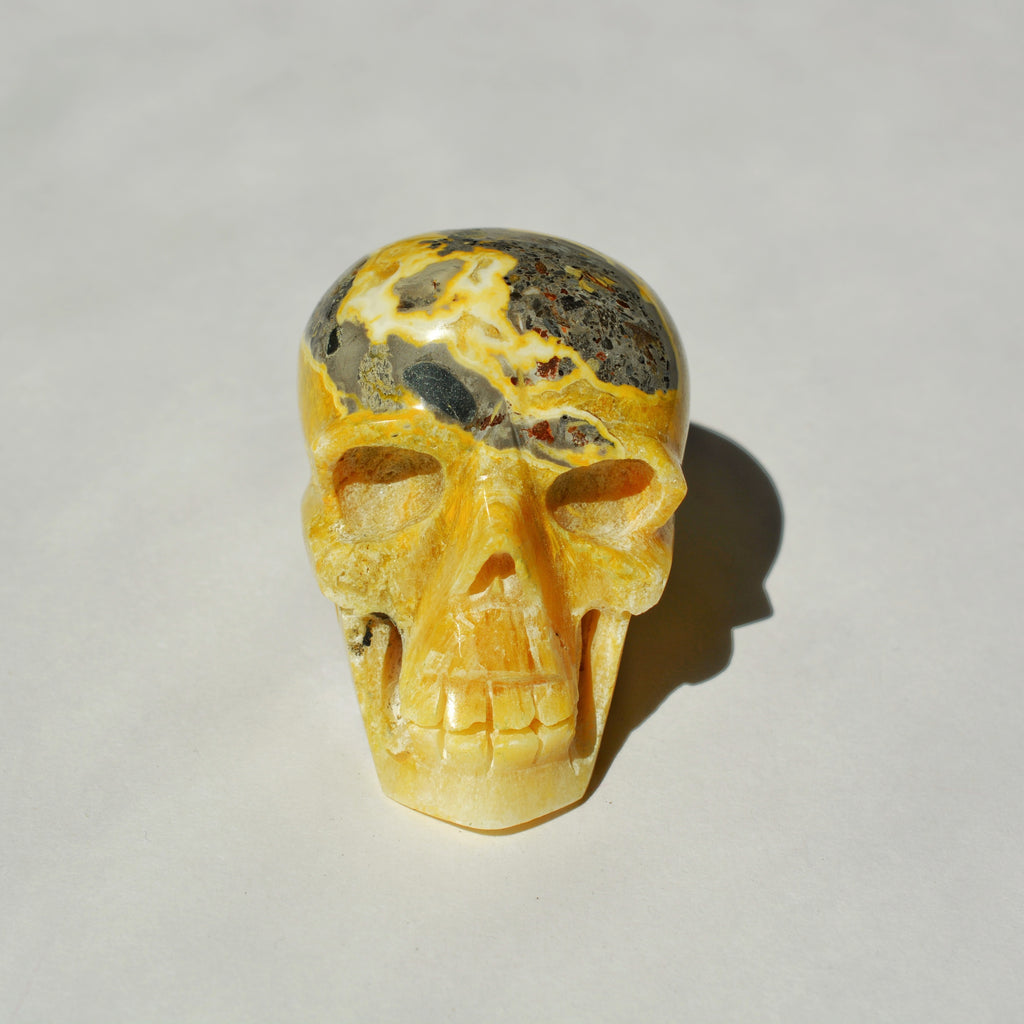 Bumble Bee Jasper Skull