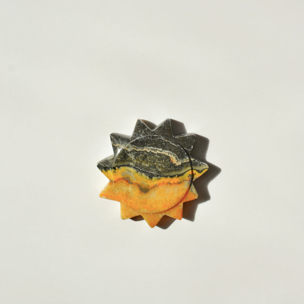 Bumble Bee Jasper Sun
