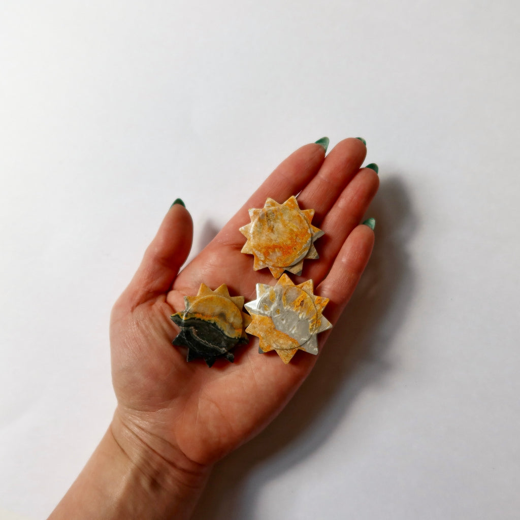Bumble Bee Jasper Sun