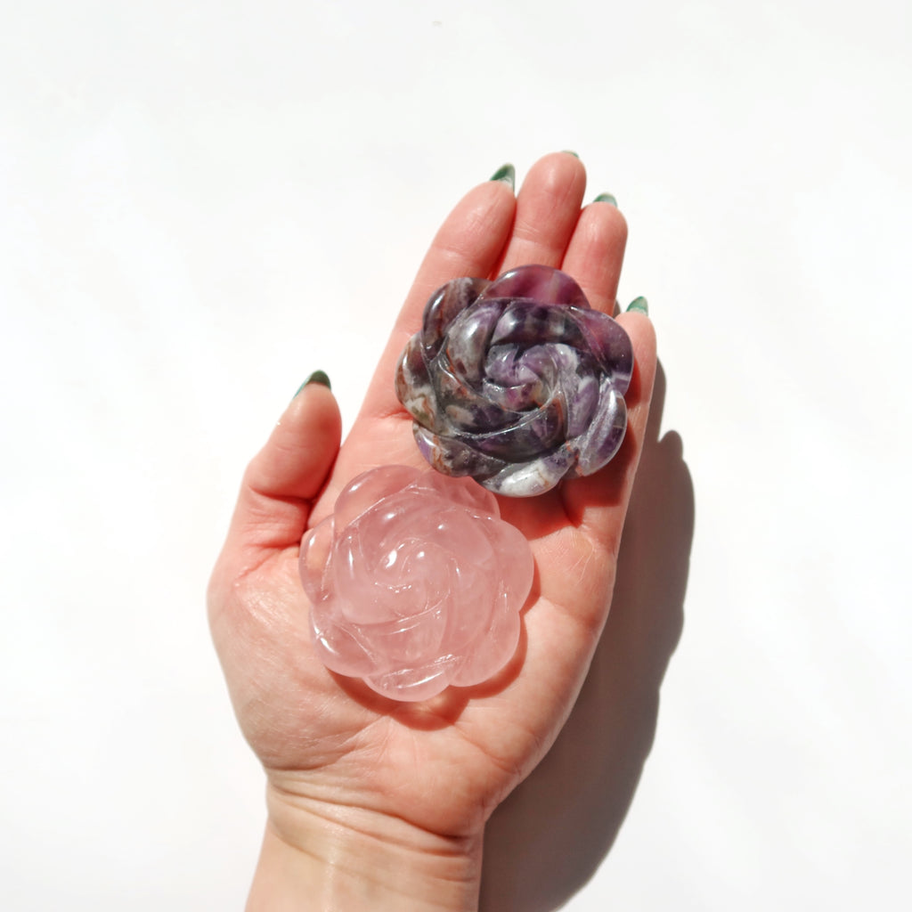 Crystal Rose Bloom