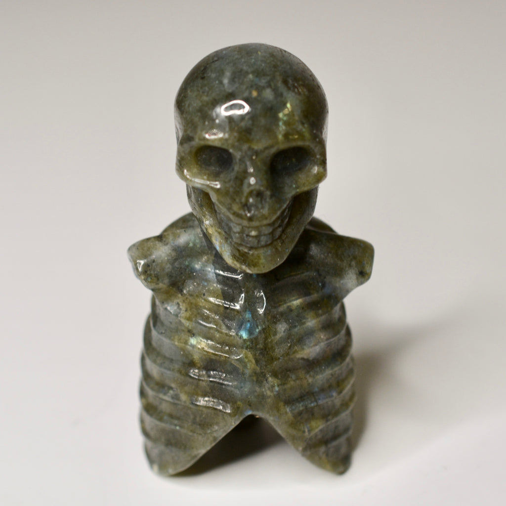 Crystal Skeleton Torsos