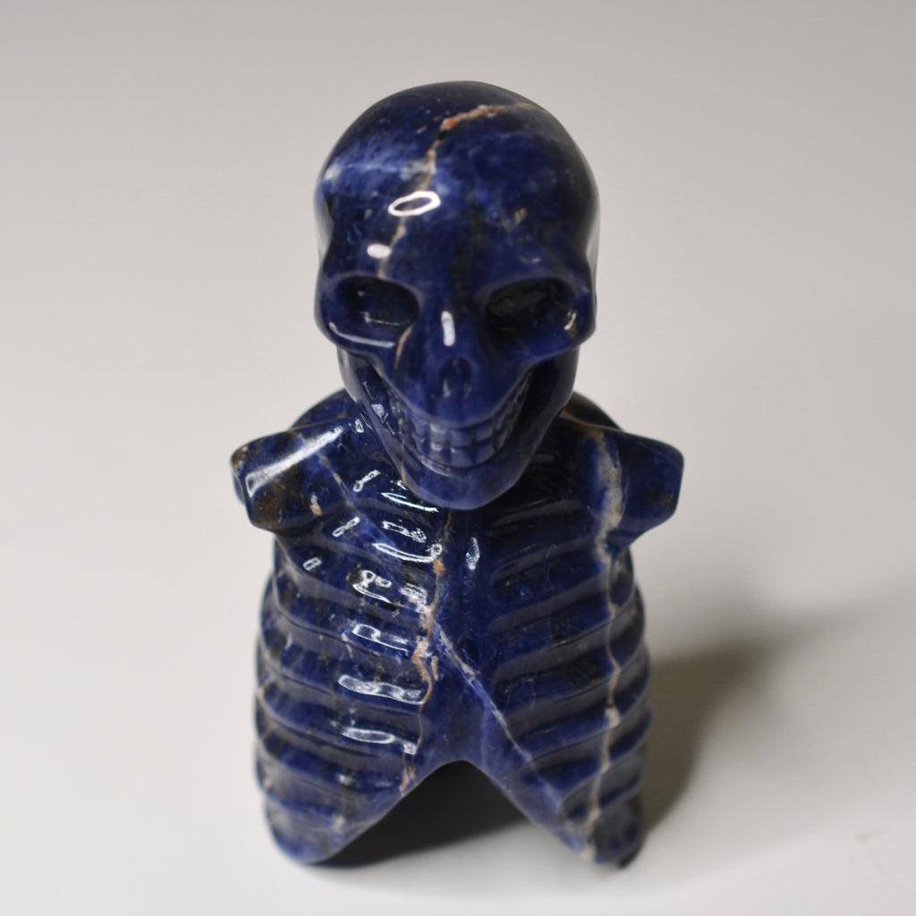 Crystal Skeleton Torsos