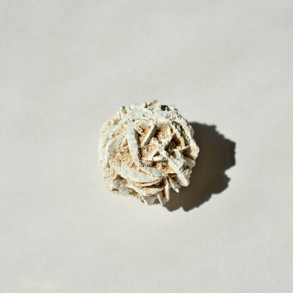 Desert Rose