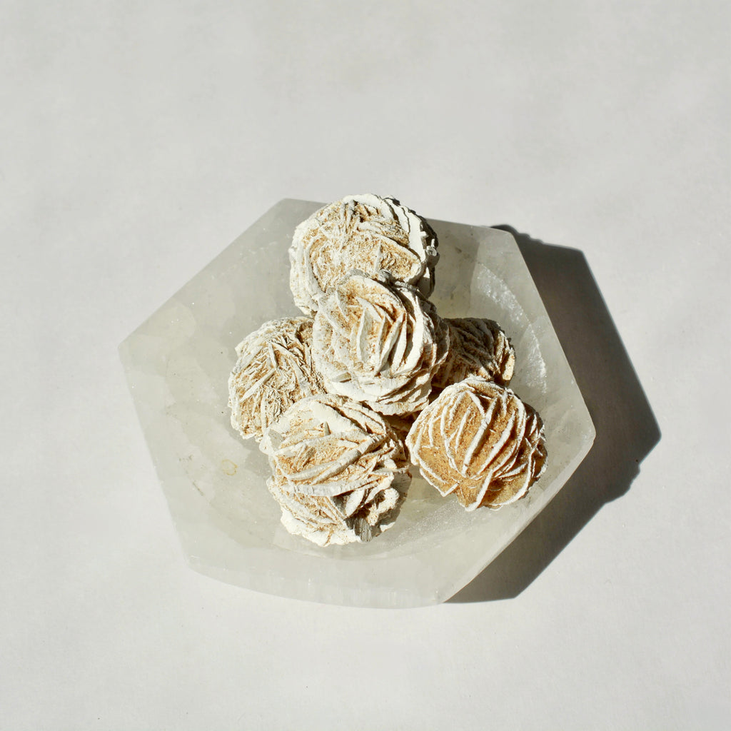 Desert Rose