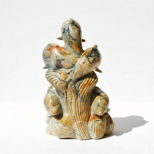 Jasper Dolphins