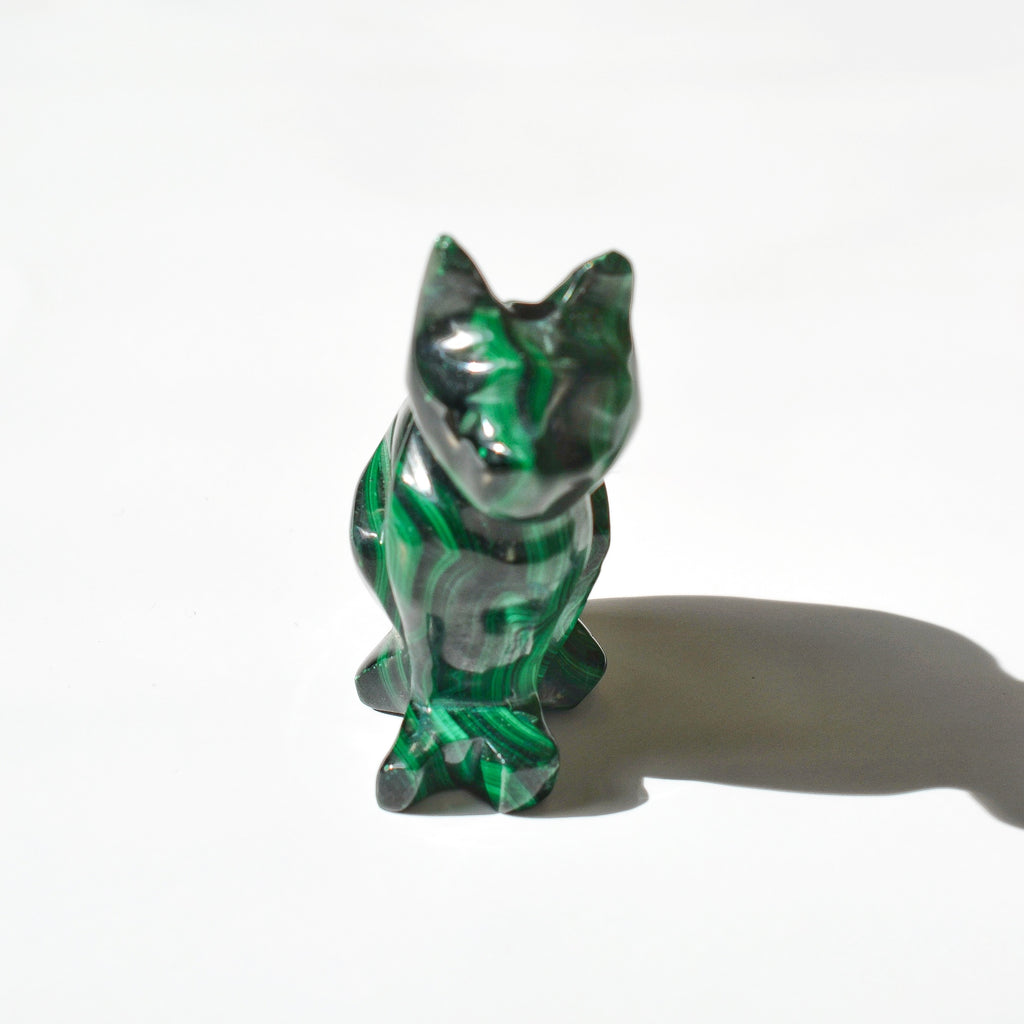 Malachite Cat