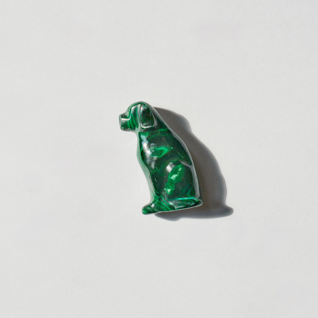 Malachite Dog