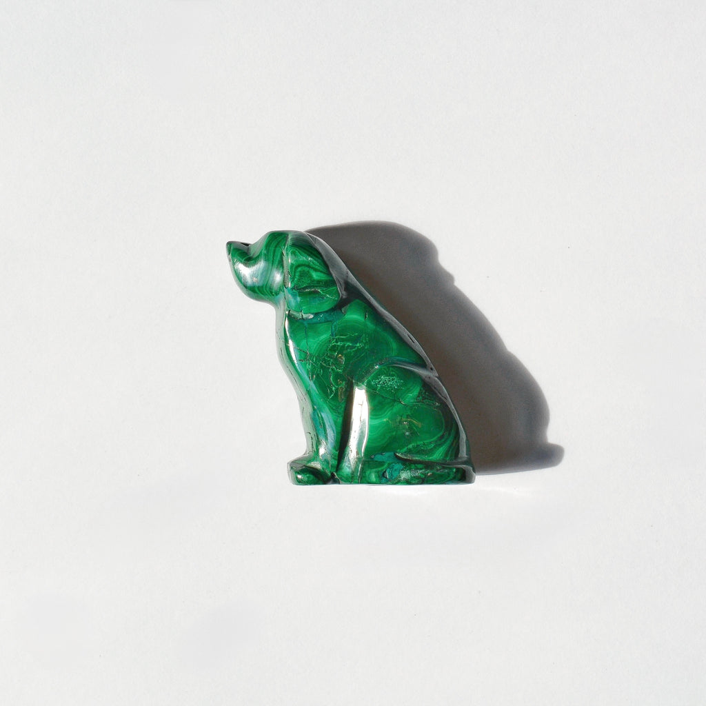 Malachite Dog