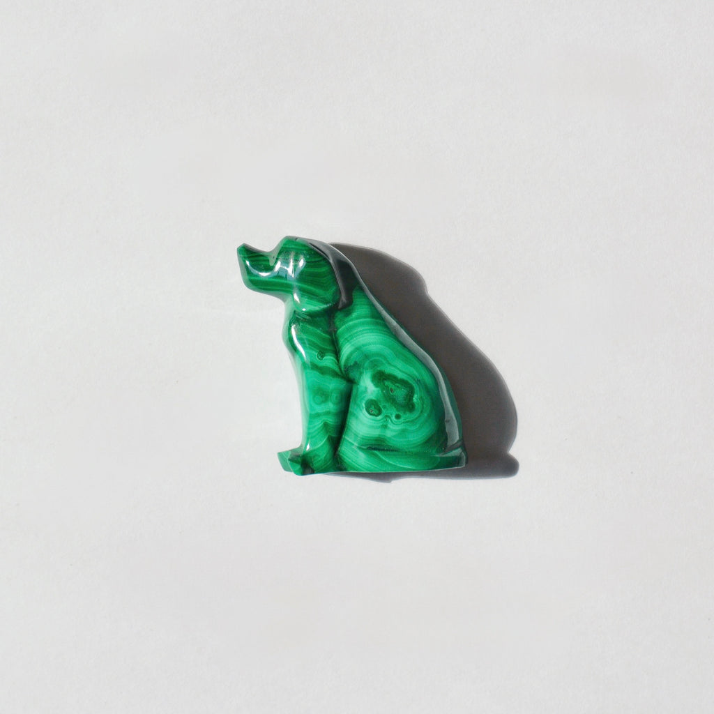 Malachite Dog