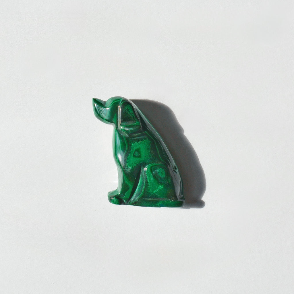 Malachite Dog