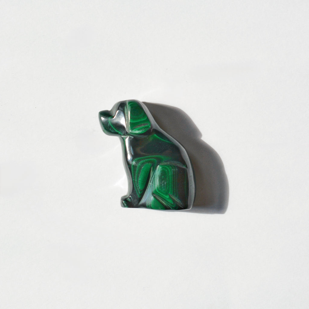 Malachite Dog