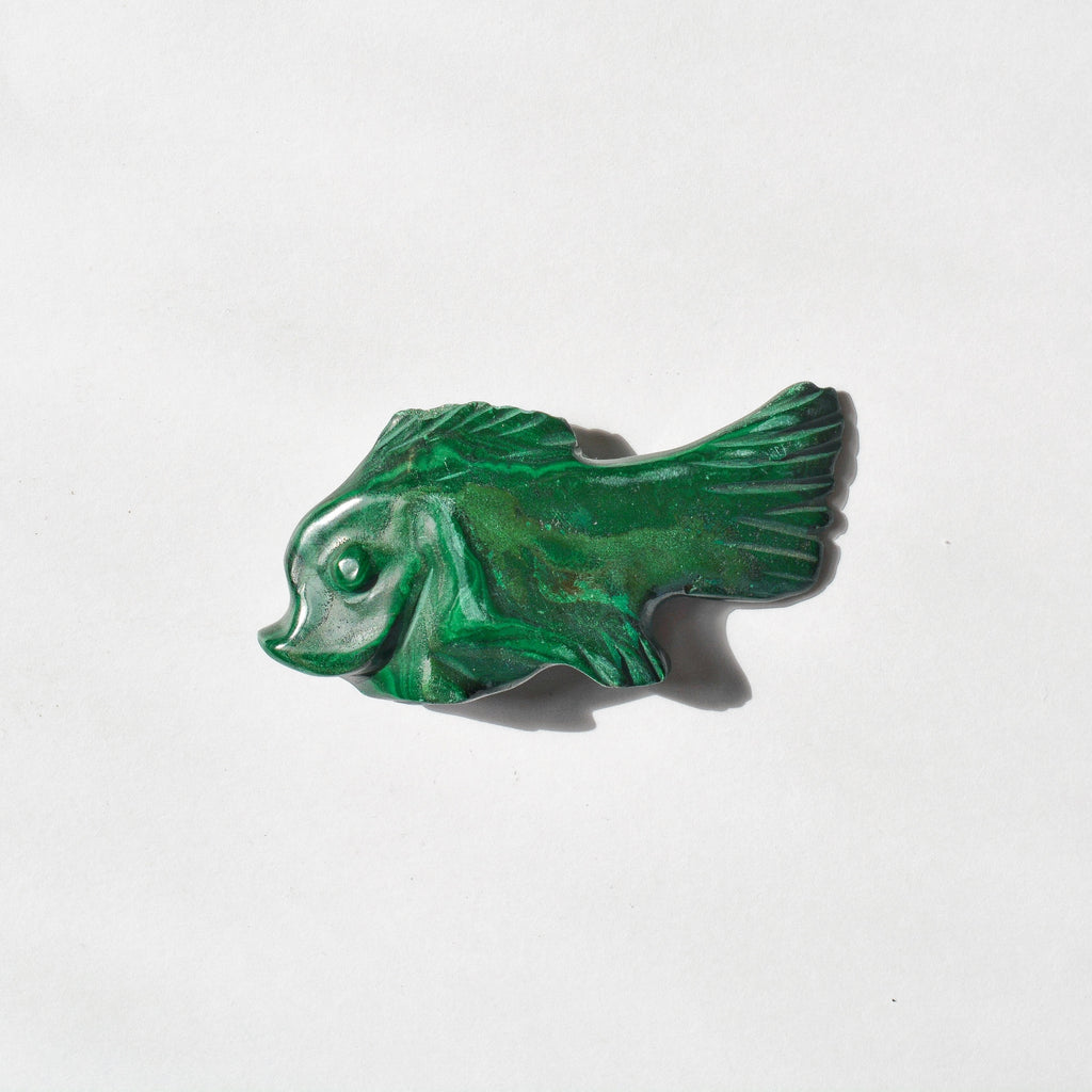 Malachite Fish