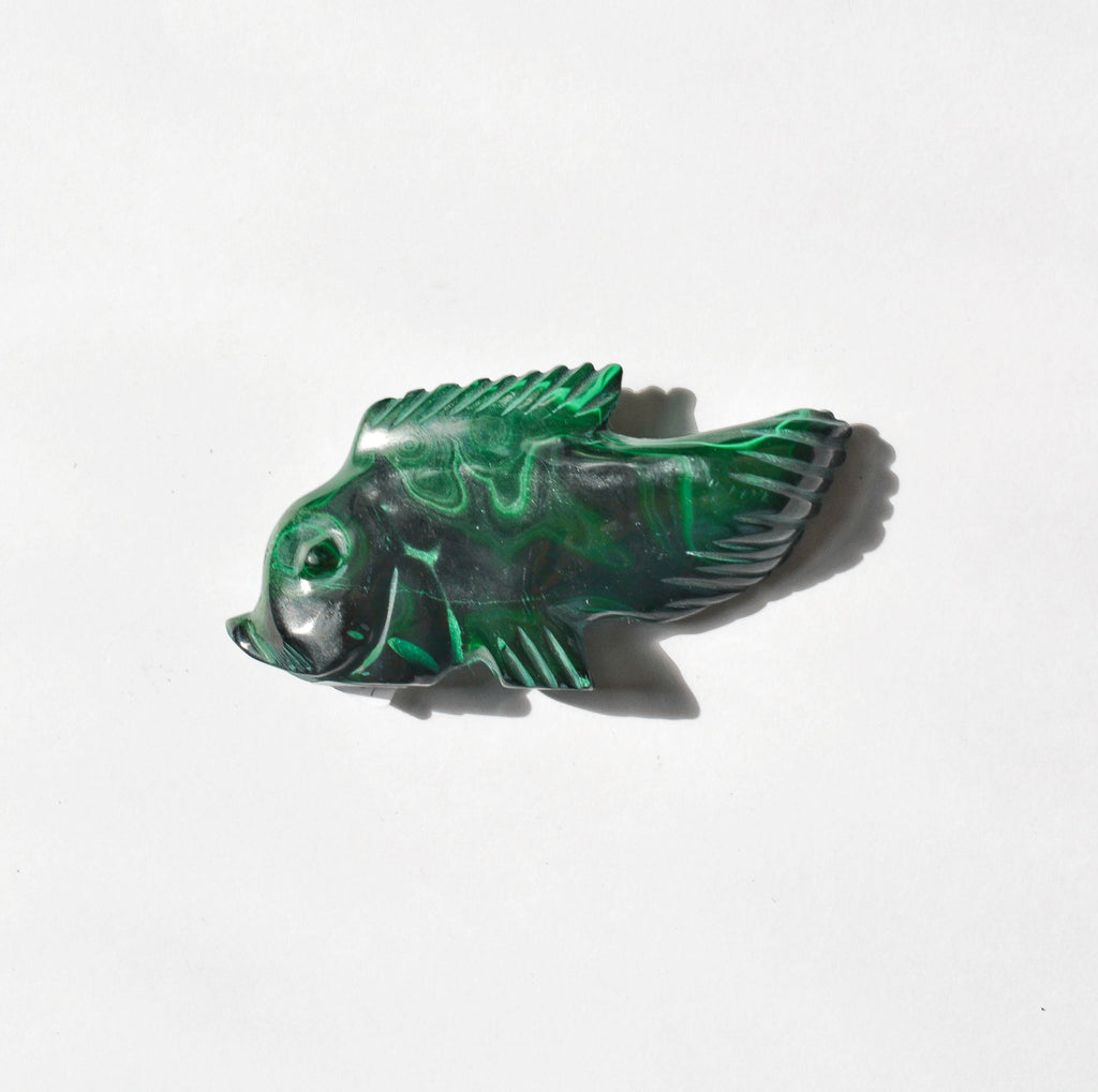 Malachite Fish
