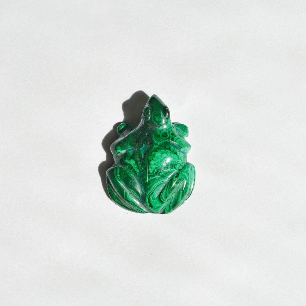 Malachite Frog