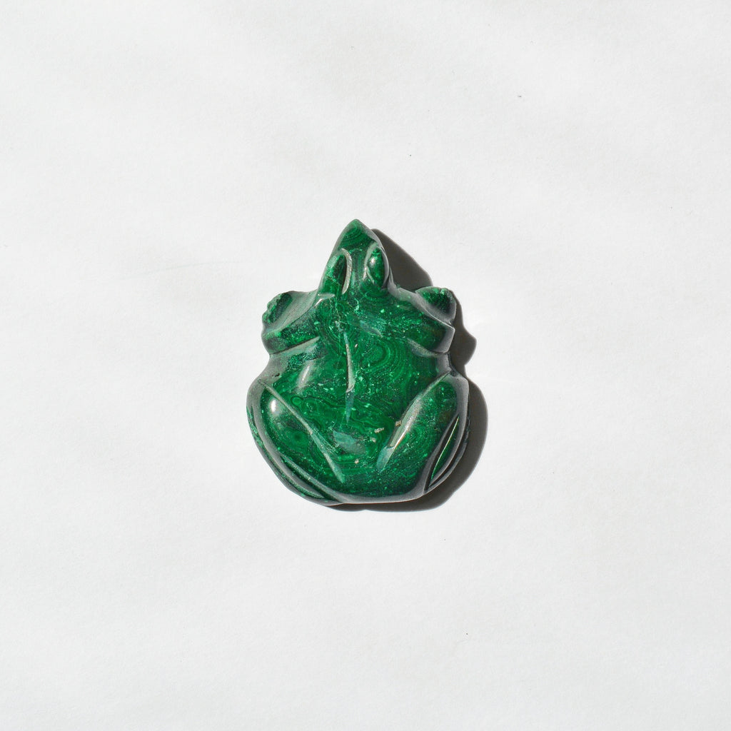 Malachite Frog