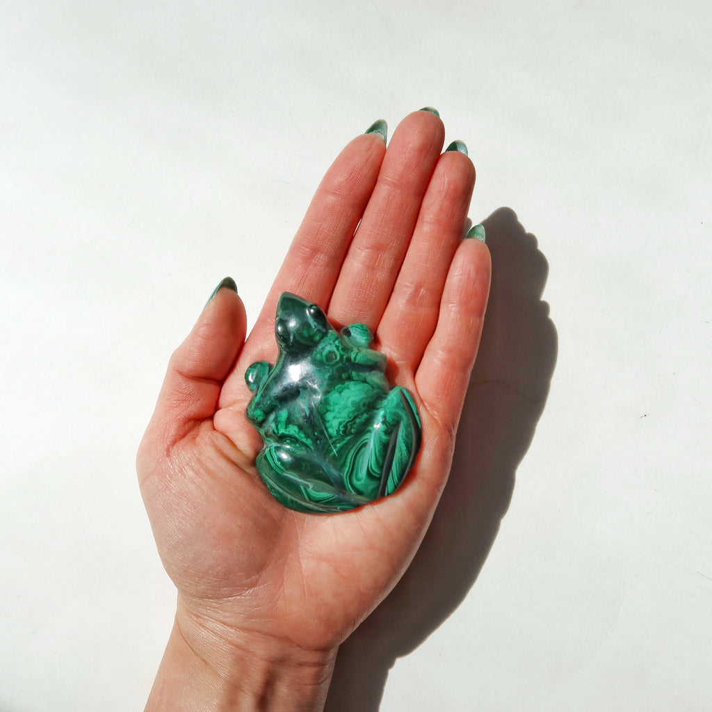 Malachite Frog