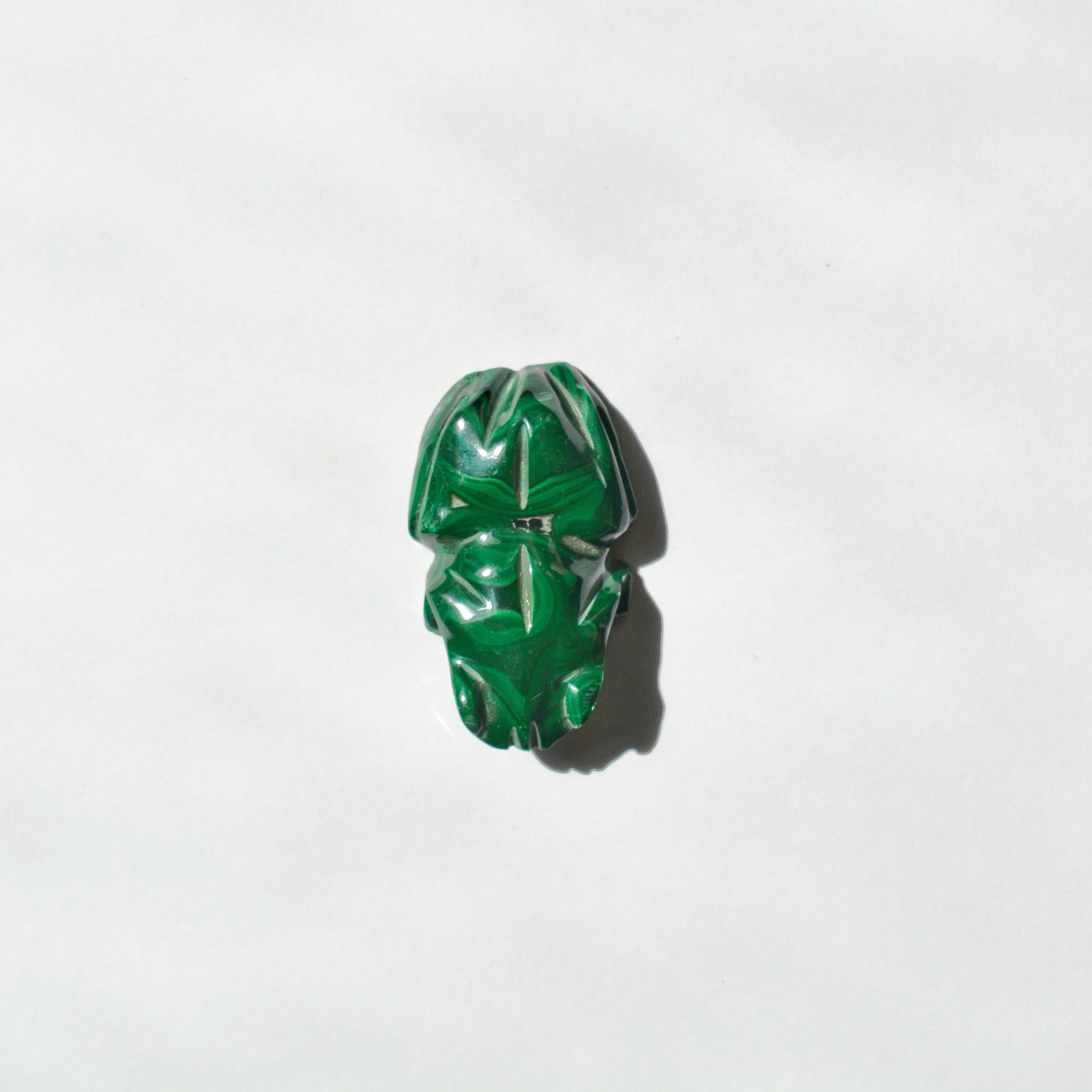 Boutons De Manchette Grenouille Darwin En Malachite - Vert - Simon Carter En Bronze Blanc - Neuf Avec étiquettes
