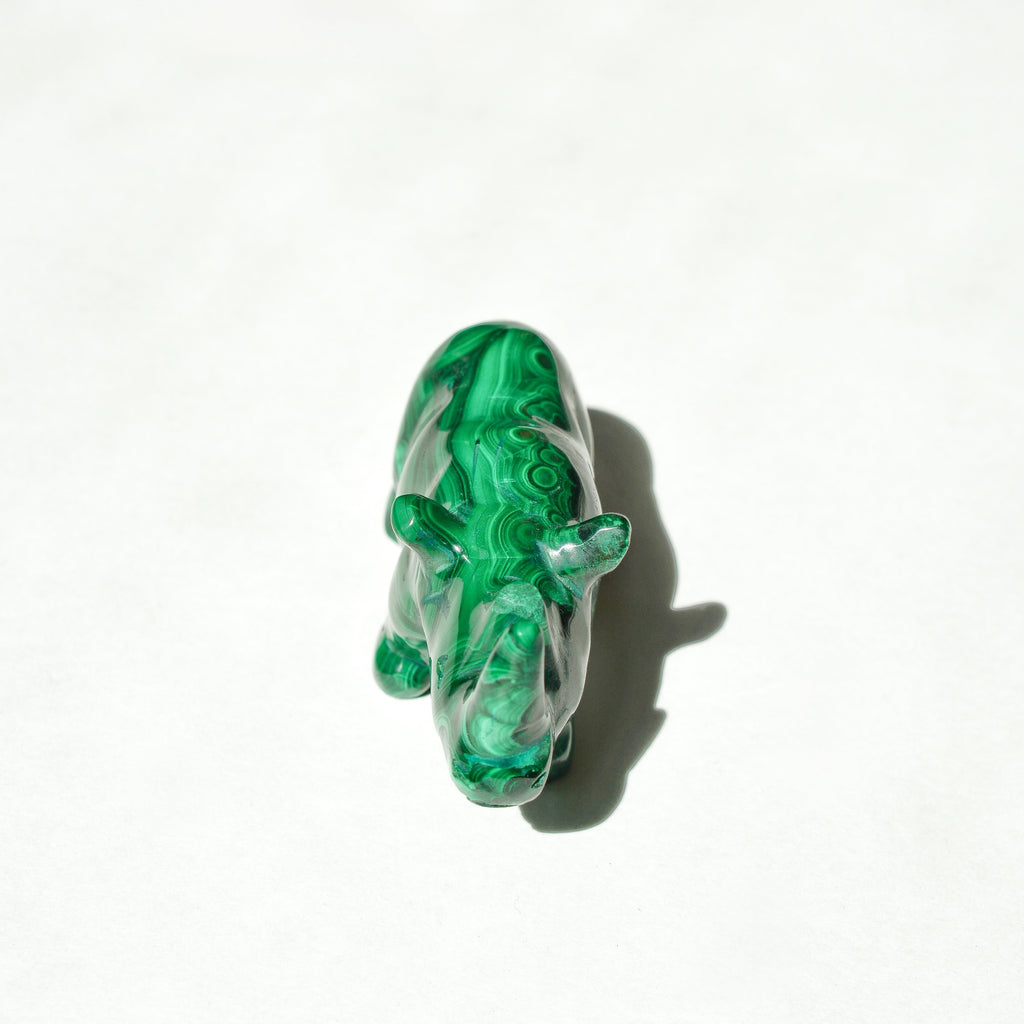 Malachite Rhino
