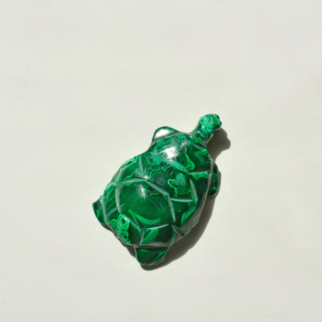 Malachite Turtle