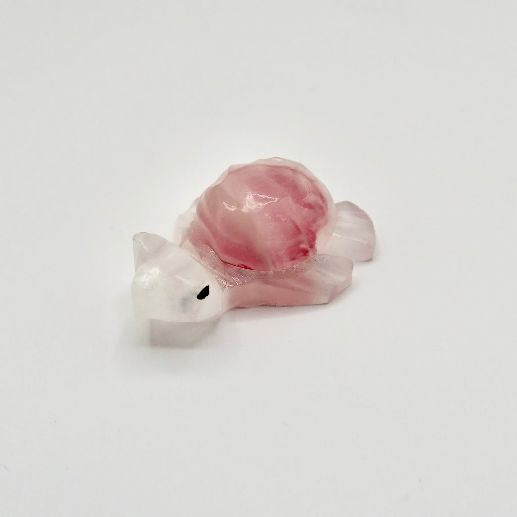 Limestone Mini Turtles