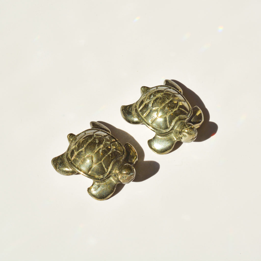 Pyrite Turtle | ASCEND