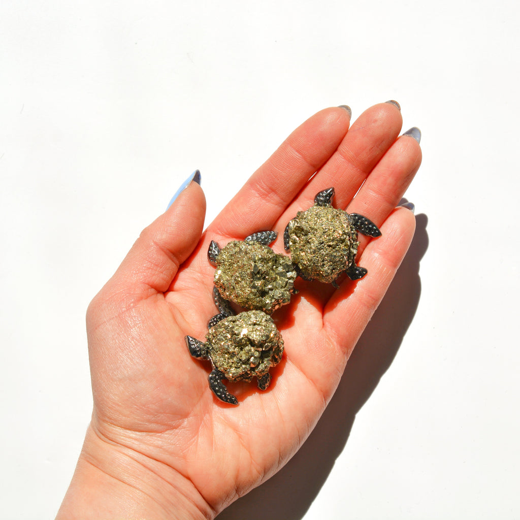 Raw Pyrite Cluster Turtle | ASCEND