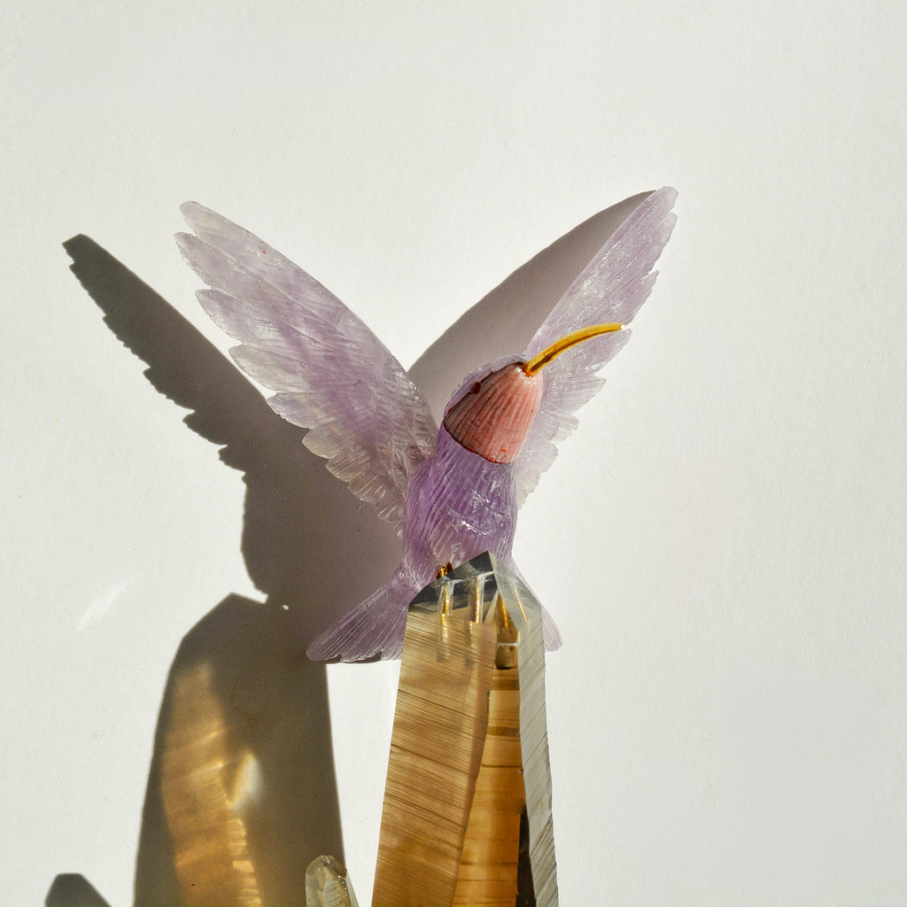 Sacred Wings Collection - Amethyst Hummingbird on Smoky Quartz