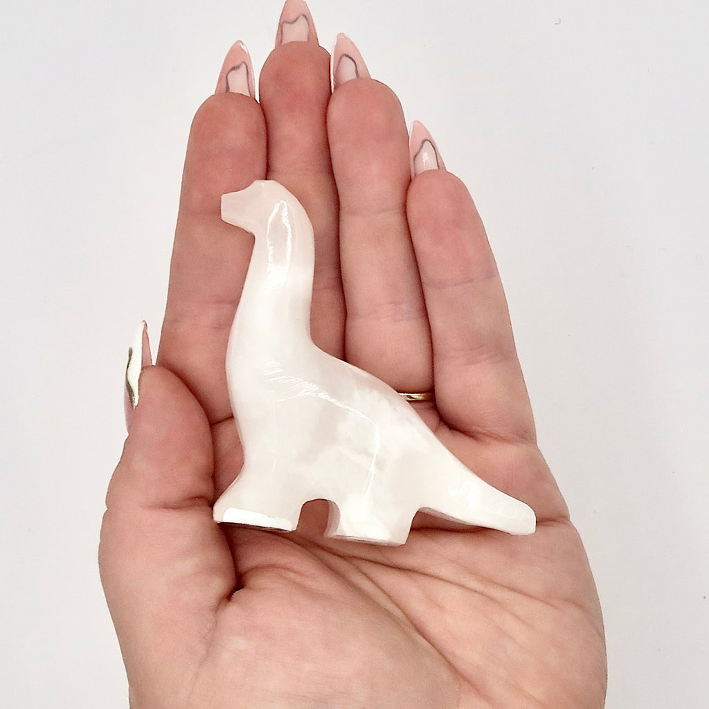 Onyx Dinosaurs