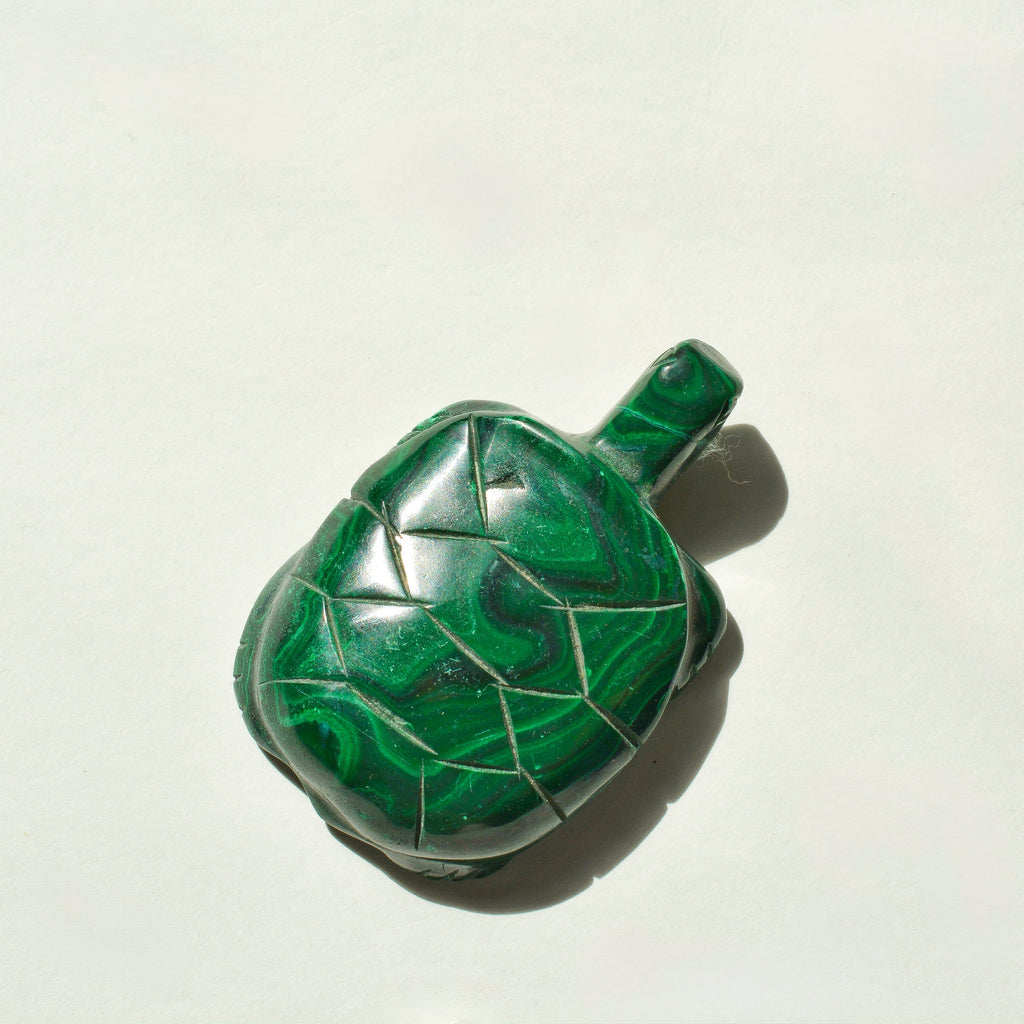 Malachite Turtle