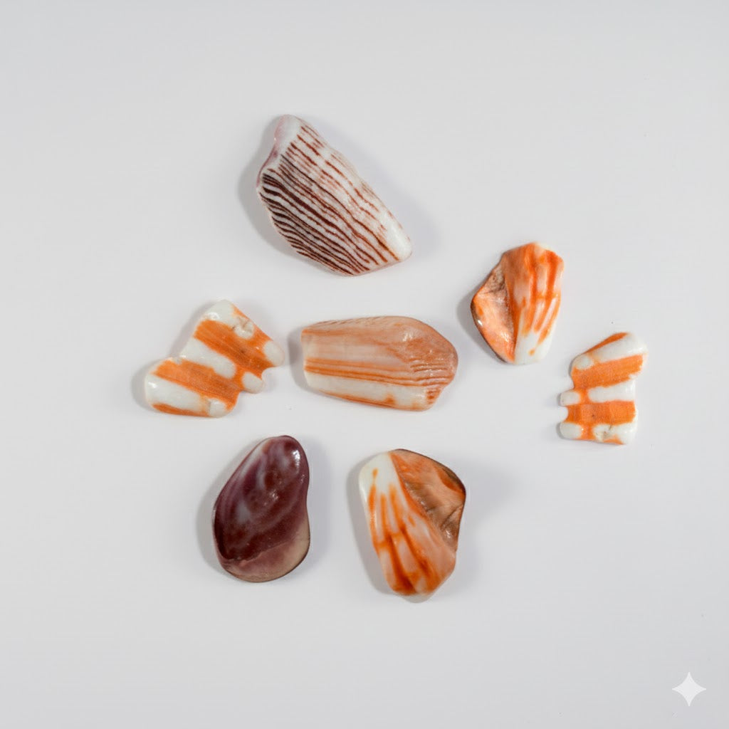 Mano De Leon Tumbles