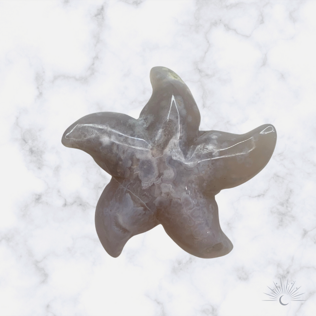 Flower Agate Starfish