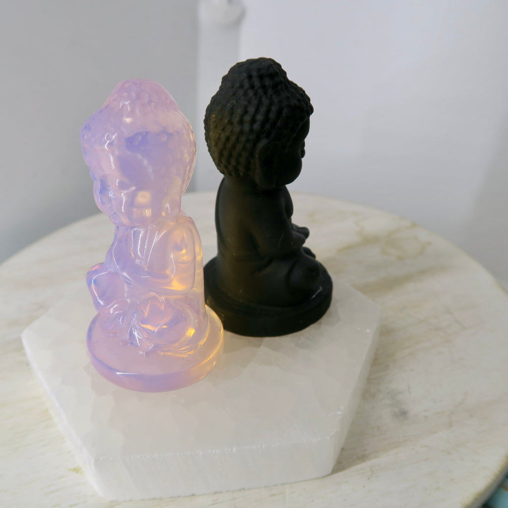 Praying Buddha