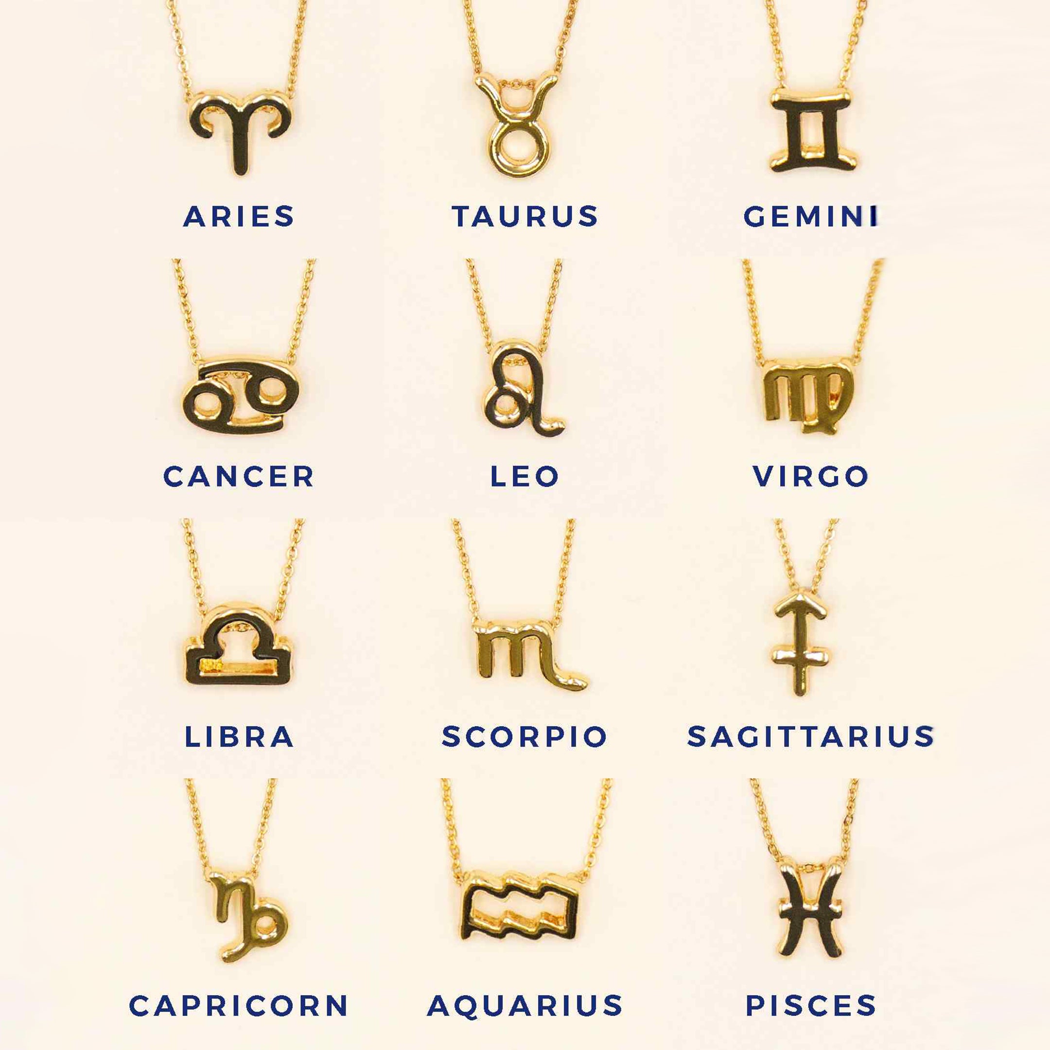 Small Zodiac Sign Necklace ASCEND